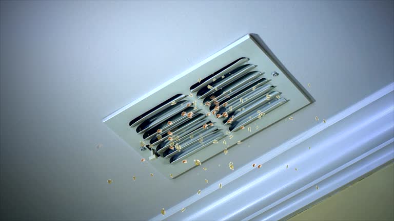 Best Air Duct Inspection  in Greenwood, LA