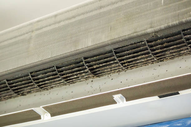 Best Air Duct Cleaning Company Near Me  in Greenwood, LA
